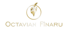 Octavian Finaru - Scriitor