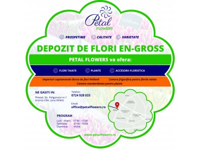 Design Flyer Florarie | HDesign