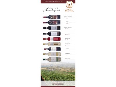 Design Roll-Up | HDesign