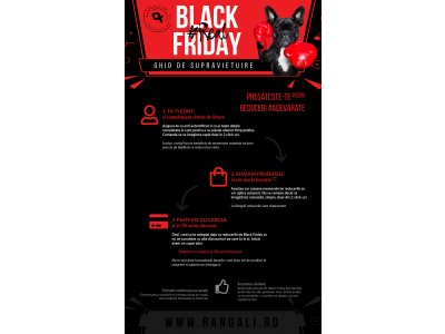 Ghid Black Friday | HDesign